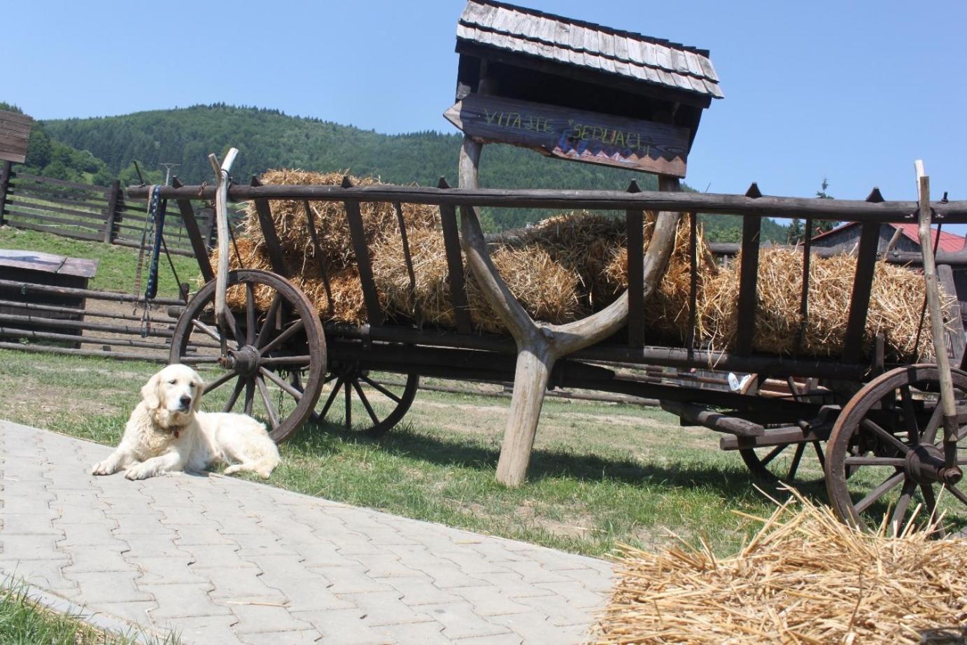 Penzion Javorina Čičmany Exterior foto